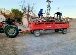 SAUJIL: CONTINUA LA ENTREGA DE LEÑA