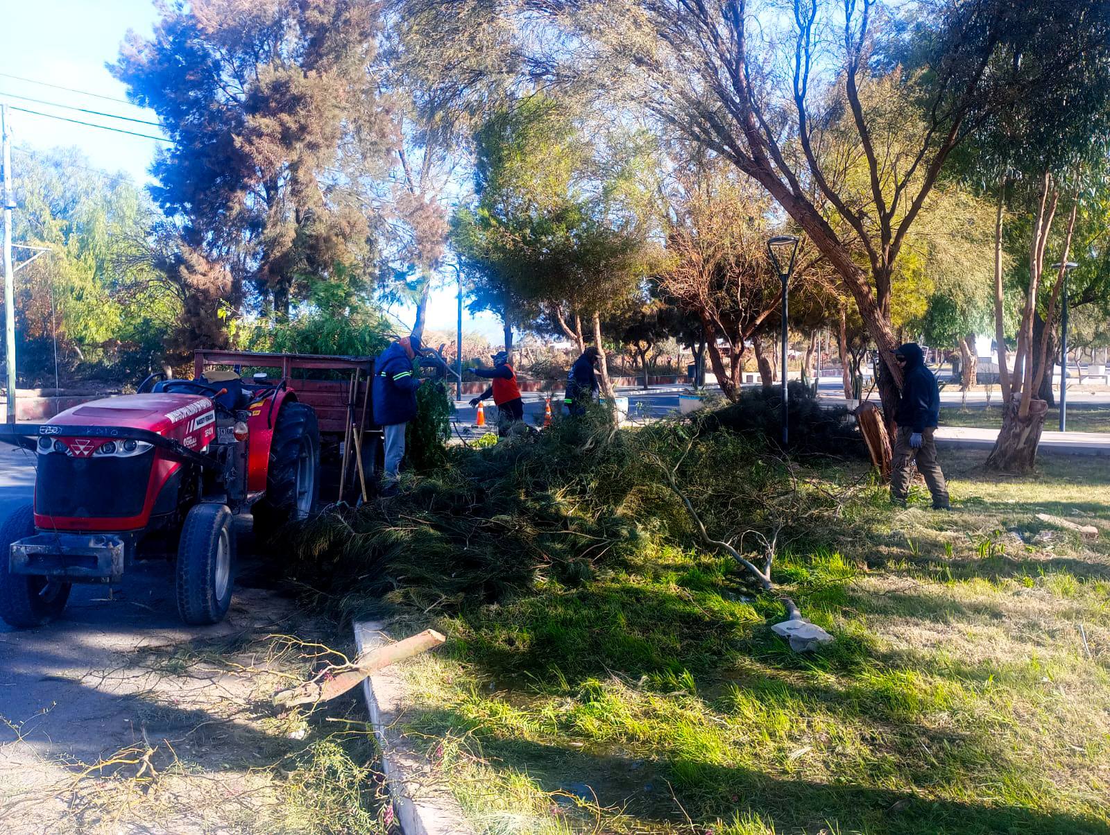 TRABAJOS DE MANTENIMIENTO Y MEJORA EN EL BARRIO BARRIALITOS TRABAJOS DE MANTENIMIENTO Y MEJORA EN EL BARRIO BARRIALITOS