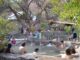FIAMBALÁ VIVE UNA TEMPORADA EXITOSA Y SE CONSOLIDA COMO EL GRAN DESTINO TURÍSTICO DEL INTERIOR DE CATAMARCA